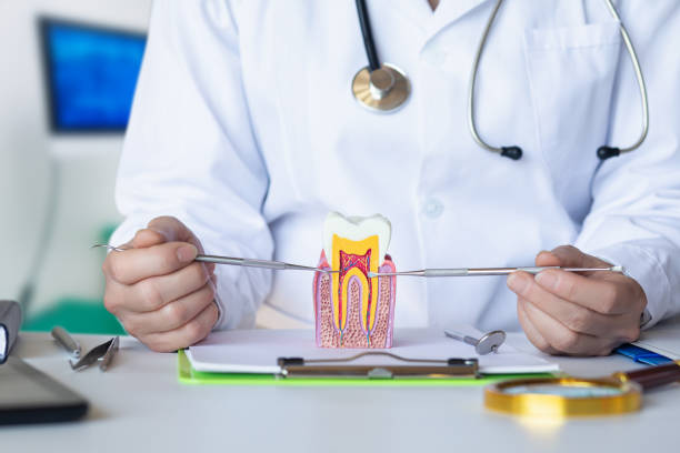 Best Emergency Treatment for Toothache in Butte, AK